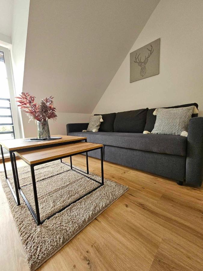 Horsky Apartman Miki Filipovice Buitenkant foto