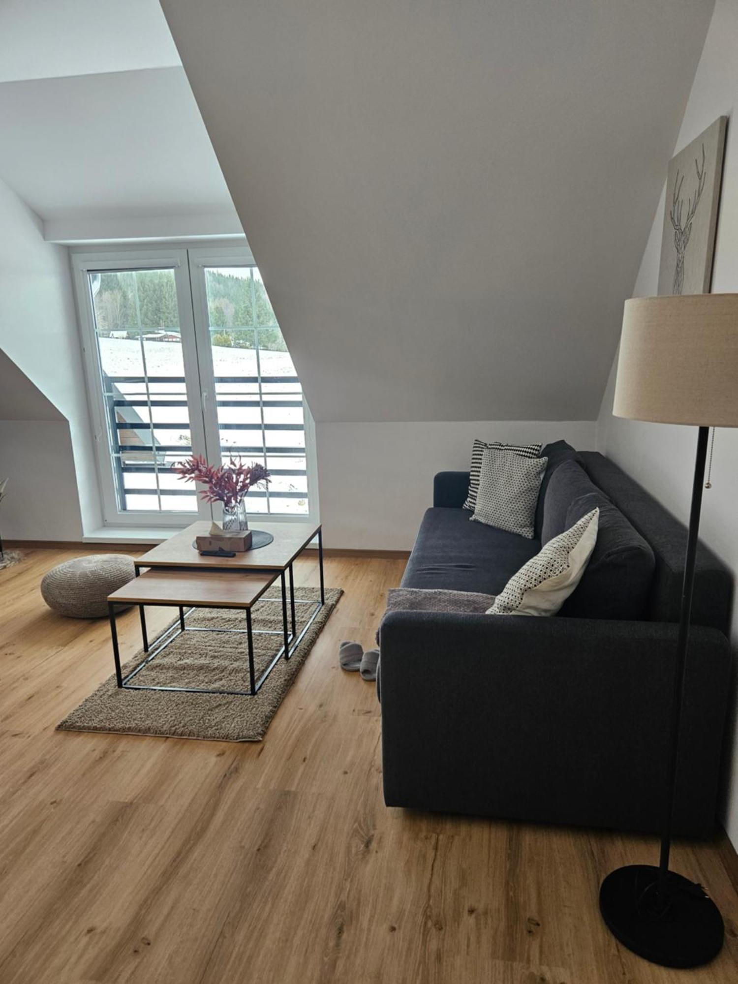 Horsky Apartman Miki Filipovice Buitenkant foto