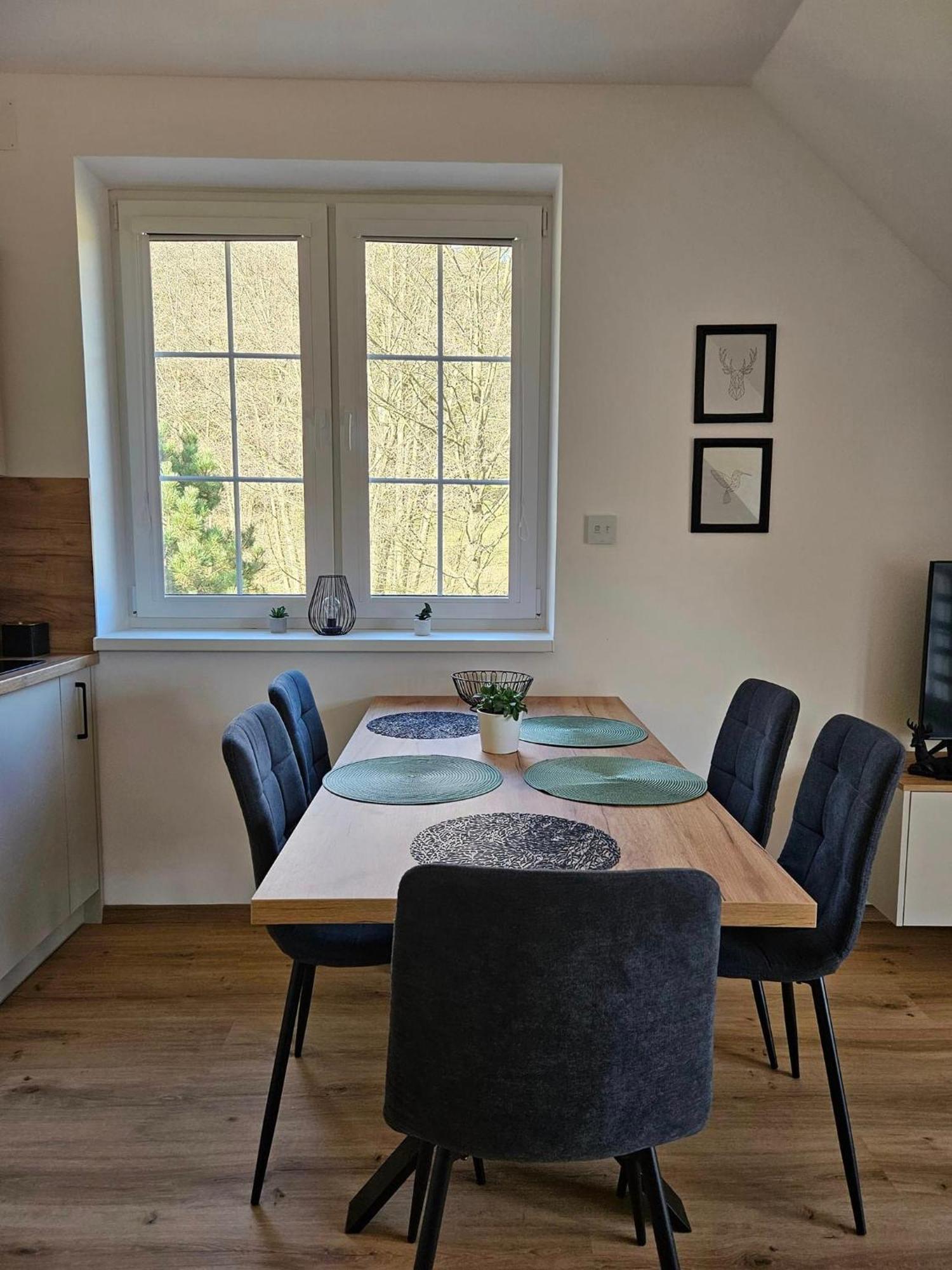 Horsky Apartman Miki Filipovice Buitenkant foto